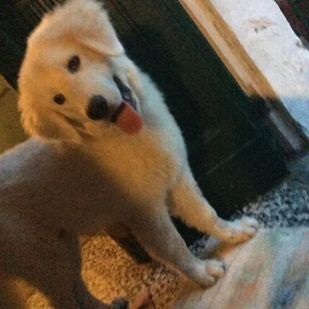 فندق مبيت وإفطار Il Casale Di Andrea & Simona 2*